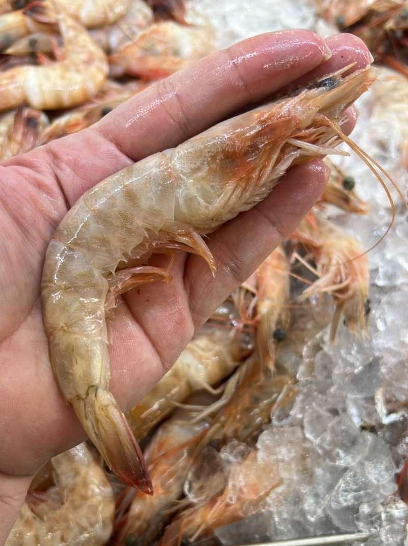 Foto de Camarão Rosa Médio Fresco (KG)