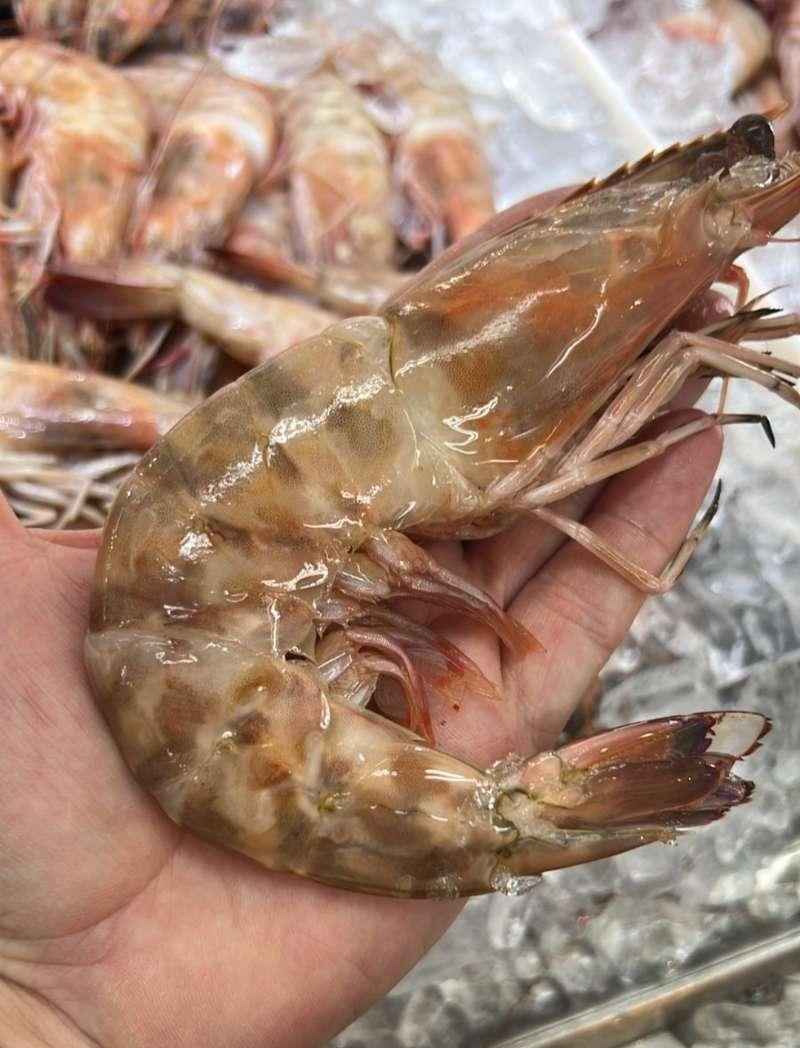 Camarão Pistola Fresco (KG)