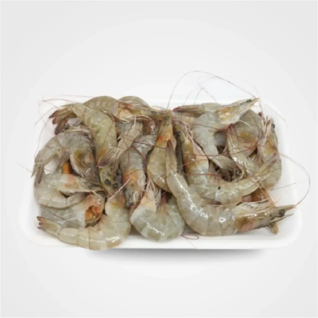 Camarão Cinza Pequeno